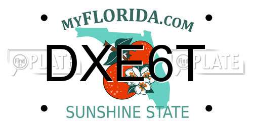 DXE6T Florida License Plate
