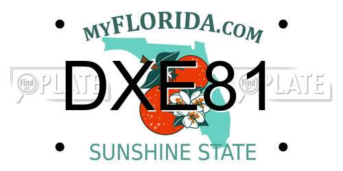 DXE81 Florida License Plate