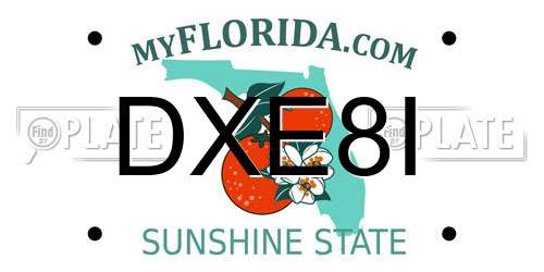 DXE8I Florida License Plate