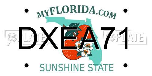 DXEA71 Florida License Plate