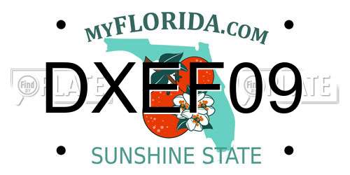 DXEF09 Florida License Plate