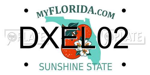 DXEL02 Florida License Plate