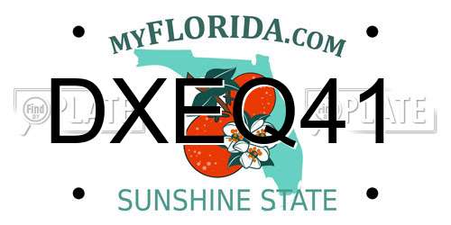 DXEQ41 Florida License Plate