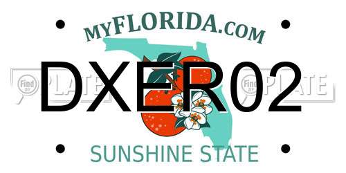 DXER02 Florida License Plate