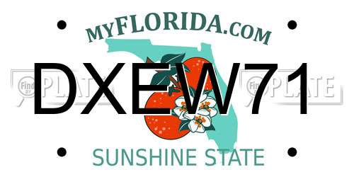 DXEW71 Florida License Plate