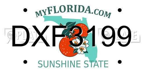 DXF3199 Florida License Plate