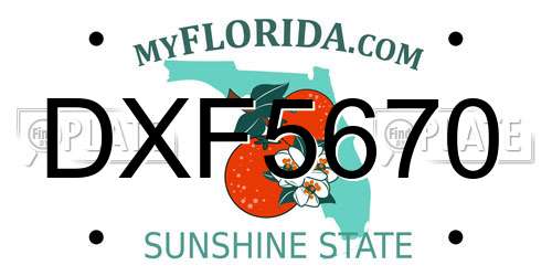 DXF5670 Florida License Plate