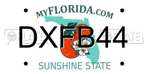 DXFB44 Florida License Plate
