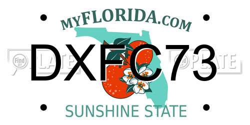 DXFC73 Florida License Plate
