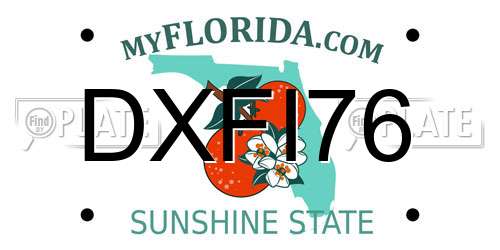 DXFI76 Florida License Plate