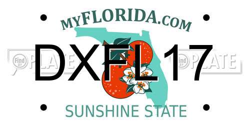 DXFL17 Florida License Plate