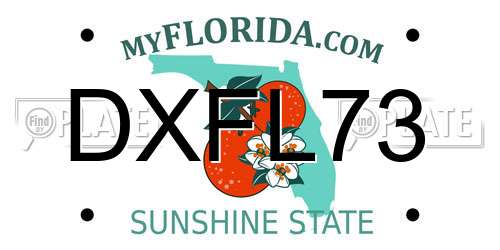 DXFL73 Florida License Plate