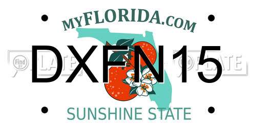 DXFN15 Florida License Plate