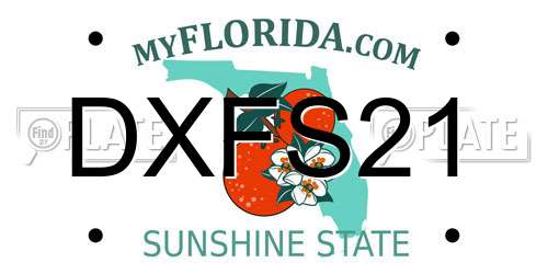 DXFS21 Florida License Plate