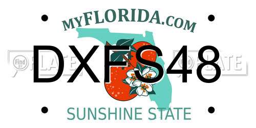 DXFS48 Florida License Plate