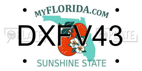 DXFV43 Florida License Plate