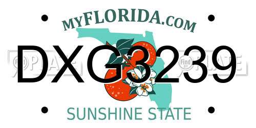 DXG3239 Florida License Plate