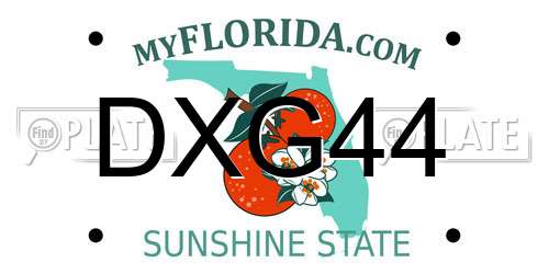 DXG44 Florida License Plate