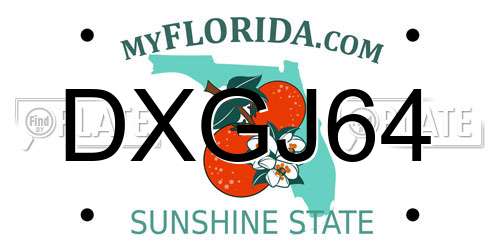DXGJ64 Florida License Plate