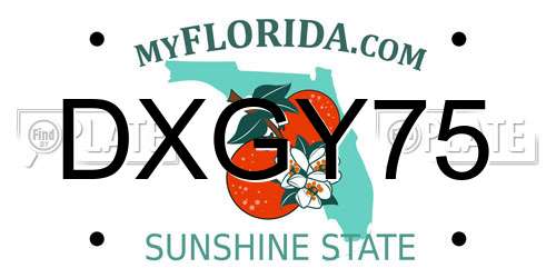 DXGY75 Florida License Plate