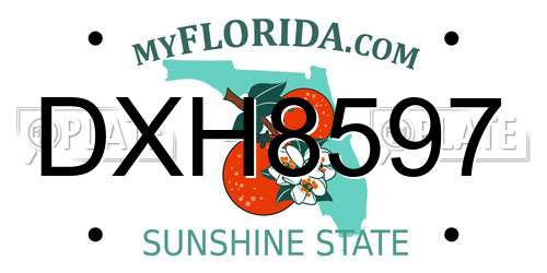 DXH8597 Florida License Plate