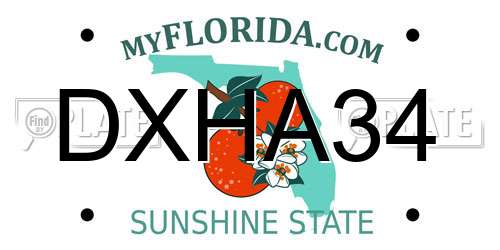 DXHA34 Florida License Plate