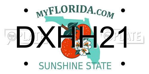 DXHH21 Florida License Plate