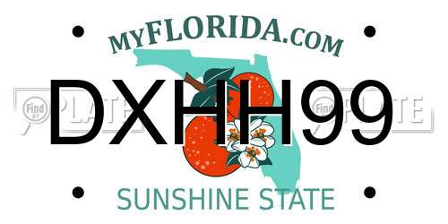DXHH99 Florida License Plate