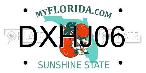 DXHJ06 Florida License Plate