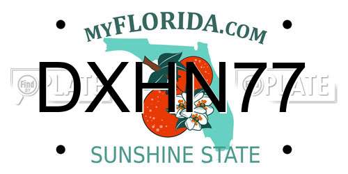DXHN77 Florida License Plate