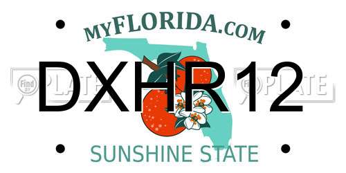 DXHR12 Florida License Plate