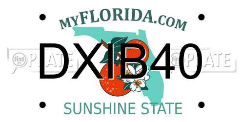 DXIB40 Florida License Plate