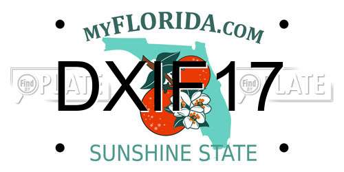 DXIF17 Florida License Plate