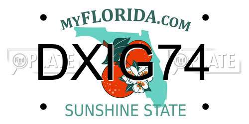 DXIG74 Florida License Plate