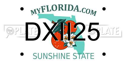 DXII25 Florida License Plate