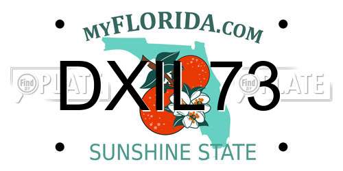 DXIL73 Florida License Plate