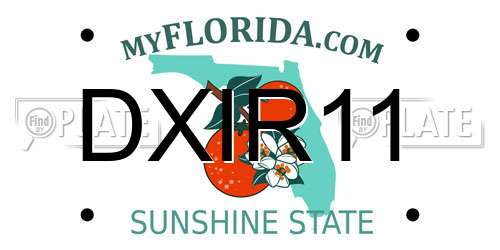 DXIR11 Florida License Plate