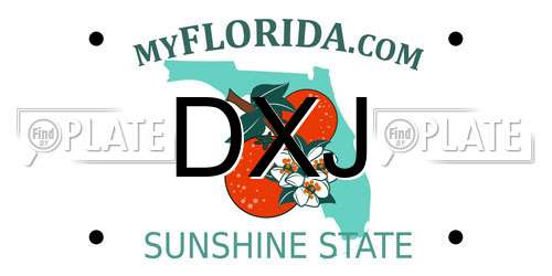 DXJ Florida License Plate