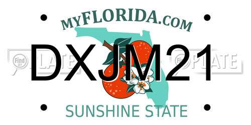 DXJM21 Florida License Plate