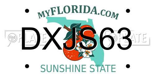 DXJS63 Florida License Plate