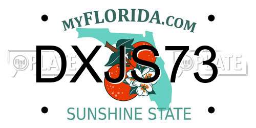 DXJS73 Florida License Plate