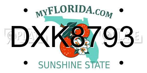 DXK8793 Florida License Plate