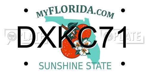 DXKC71 Florida License Plate