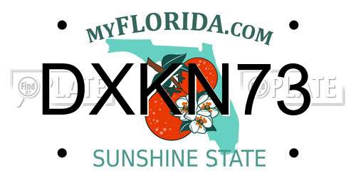 DXKN73 Florida License Plate