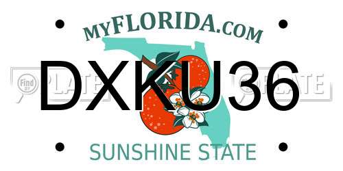 DXKU36 Florida License Plate