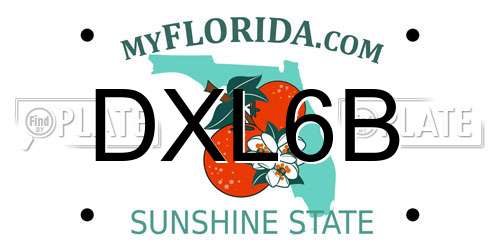 DXL6B Florida License Plate