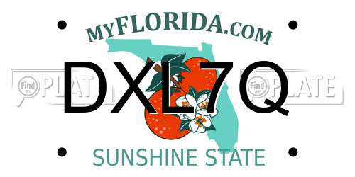 DXL7Q Florida License Plate