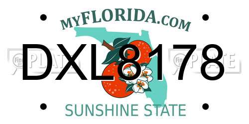 DXL8178 Florida License Plate