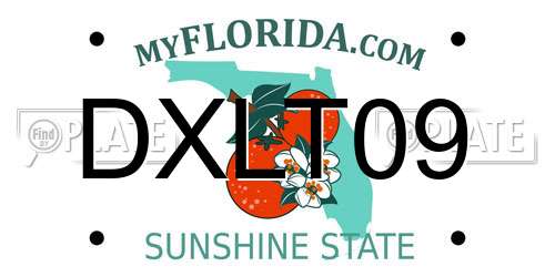 DXLT09 Florida License Plate