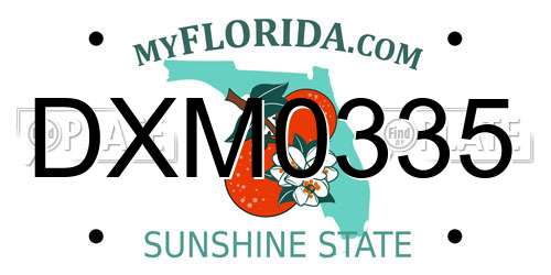 DXM0335 Florida License Plate